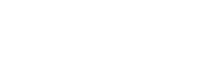HPE logo white