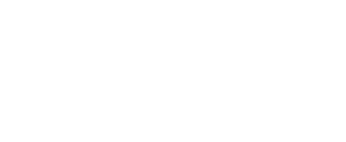 Viglen