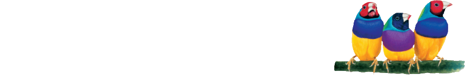 ViewSonic