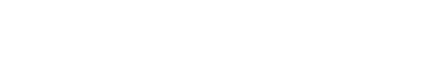 Apple Professional Services