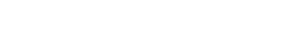 ASUS White Logo