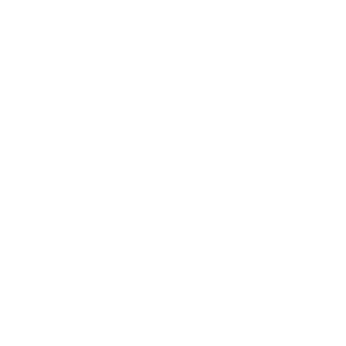 Your Partner in Recovery