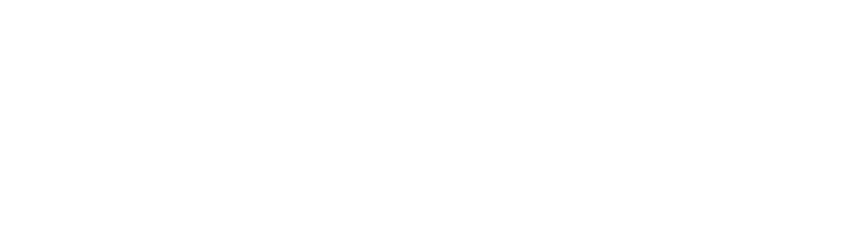 Acer Logo