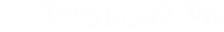 Windows 11 Pro Logo