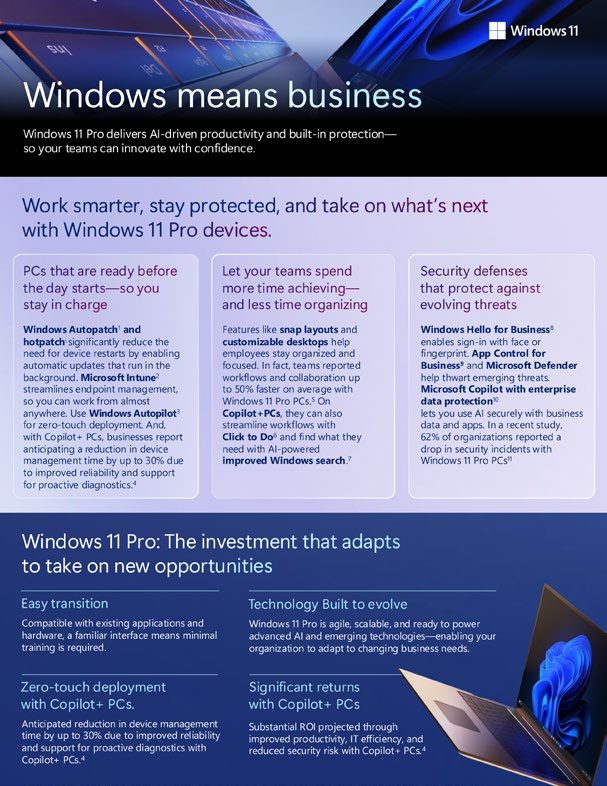 Windows Means Business
